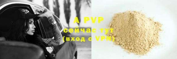 spice Арсеньев