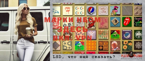 стаф Баксан