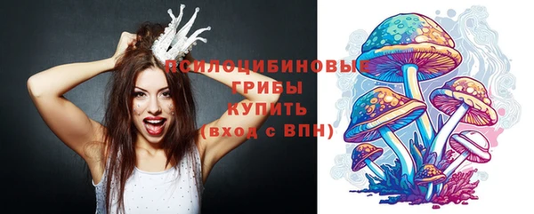 MDMA Premium VHQ Аркадак